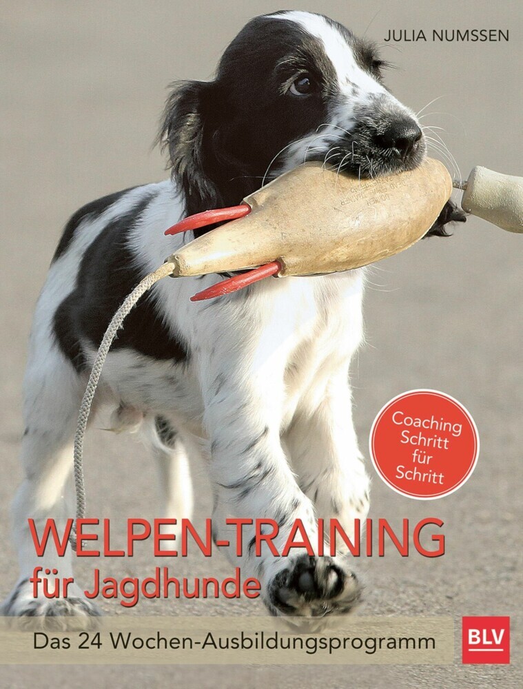 Welpen-Training für Jagdhunde main product photo