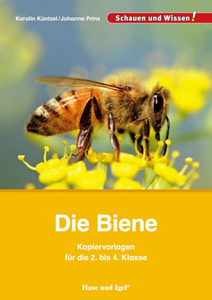 Die Biene - Kopiervorlagen für die 2. bis 4. Klasse main product photo