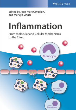 Inflammation, 4 Teile