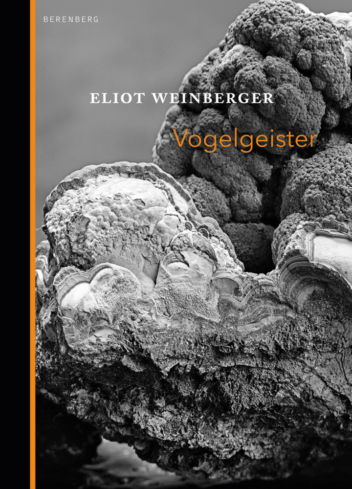 Vogelgeister main product photo