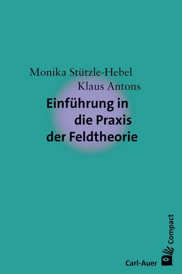 Einführung in die Praxis der Feldtheorie main product photo
