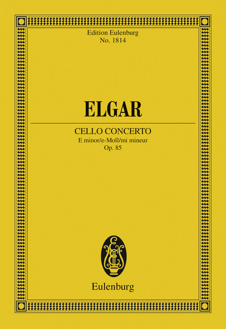 Cello Concerto E minor main product photo