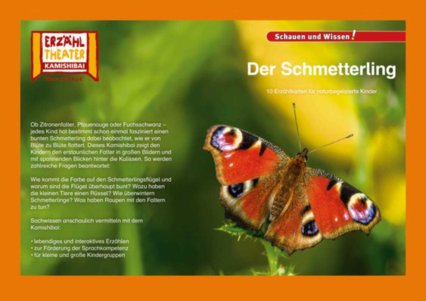 Der Schmetterling / Kamishibai Bildkarten main product photo