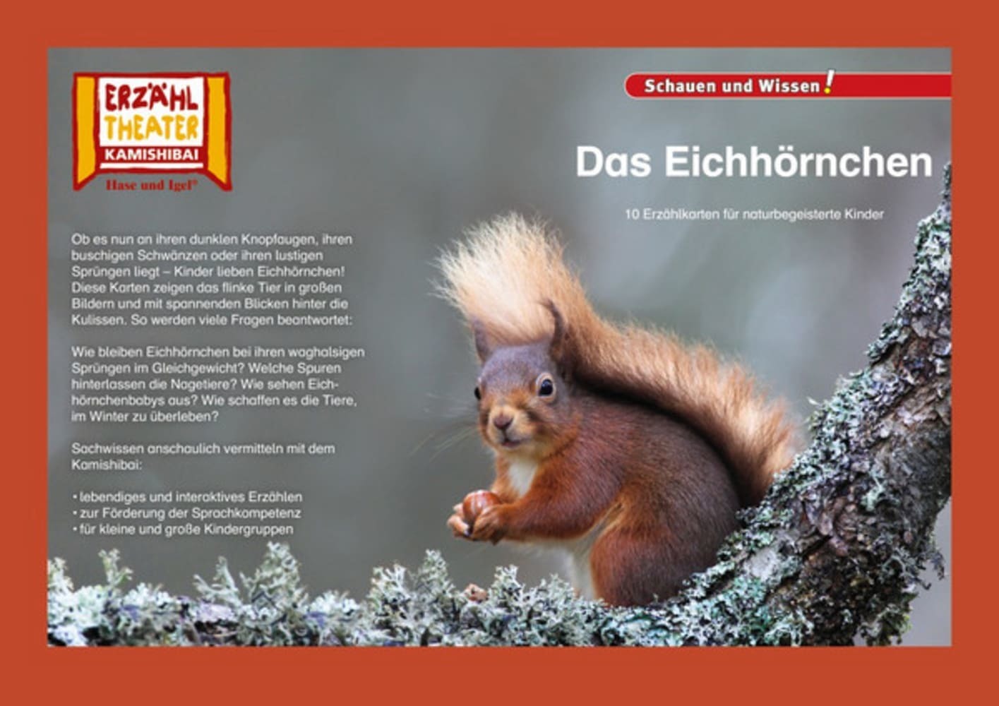 Das Eichhörnchen / Kamishibai Bildkarten main product photo