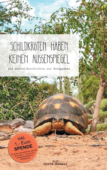 Schildkröten haben keinen Außenspiegel main product photo