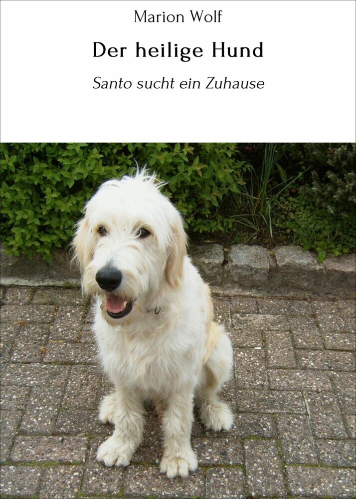 Der heilige Hund main product photo