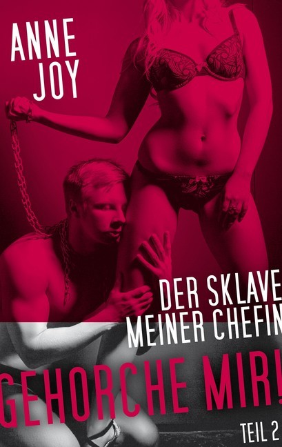 Der Sklave meiner Chefin main product photo