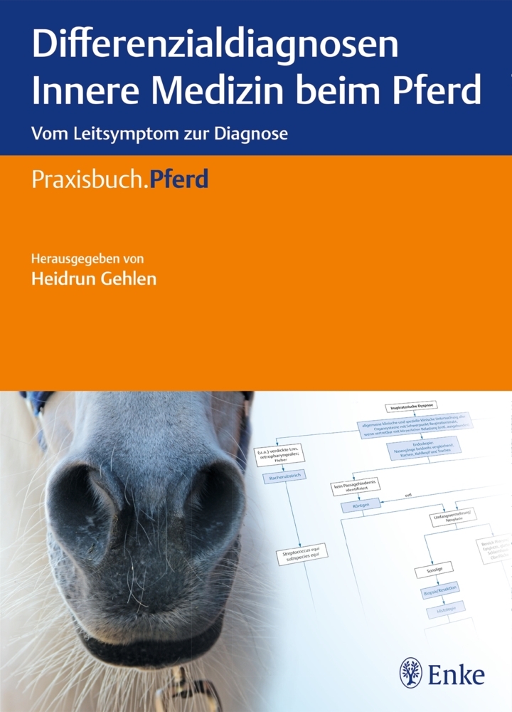Differenzialdiagnosen Innere Medizin beim Pferd main product photo