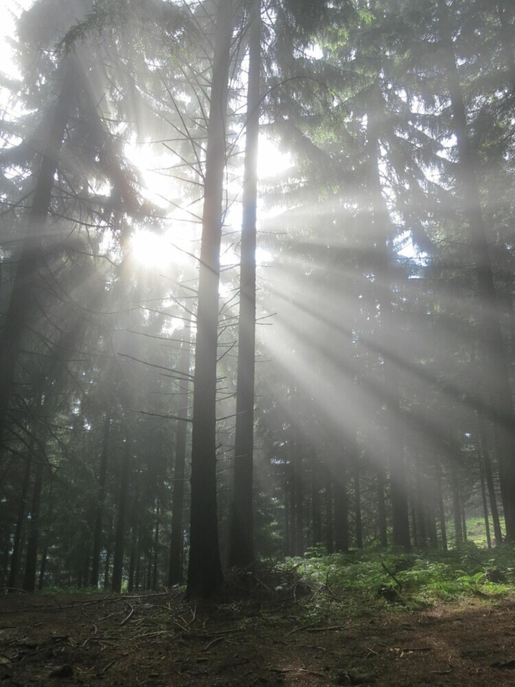 Und sag nicht, dass die Sonne scheint main product photo