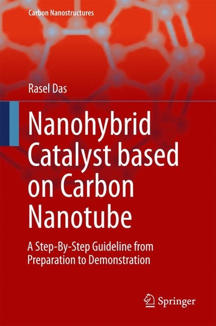 Nanohybrid Catalyst based on Carbon Nanotube main product photo