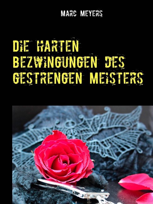 Die harten Bezwingungen des gestrengen Meisters main product photo
