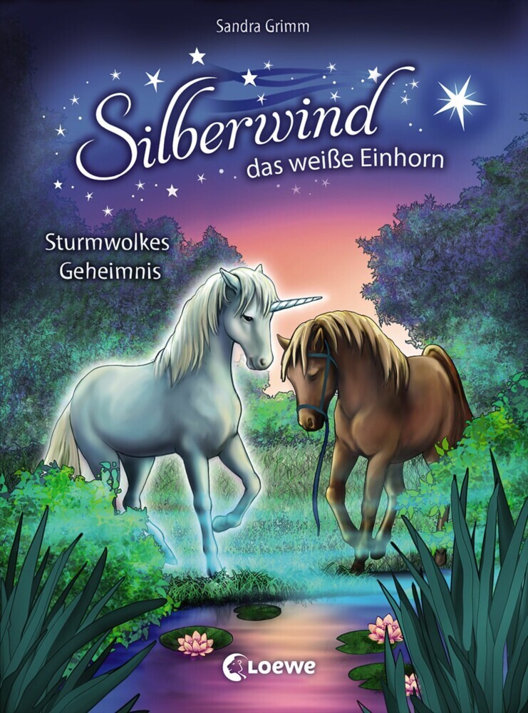 Silberwind, das weiße Einhorn (Band 4) - Sturmwolkes Geheimnis main product photo