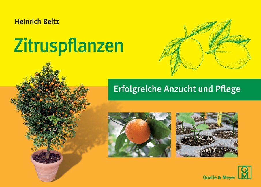 Zitruspflanzen main product photo
