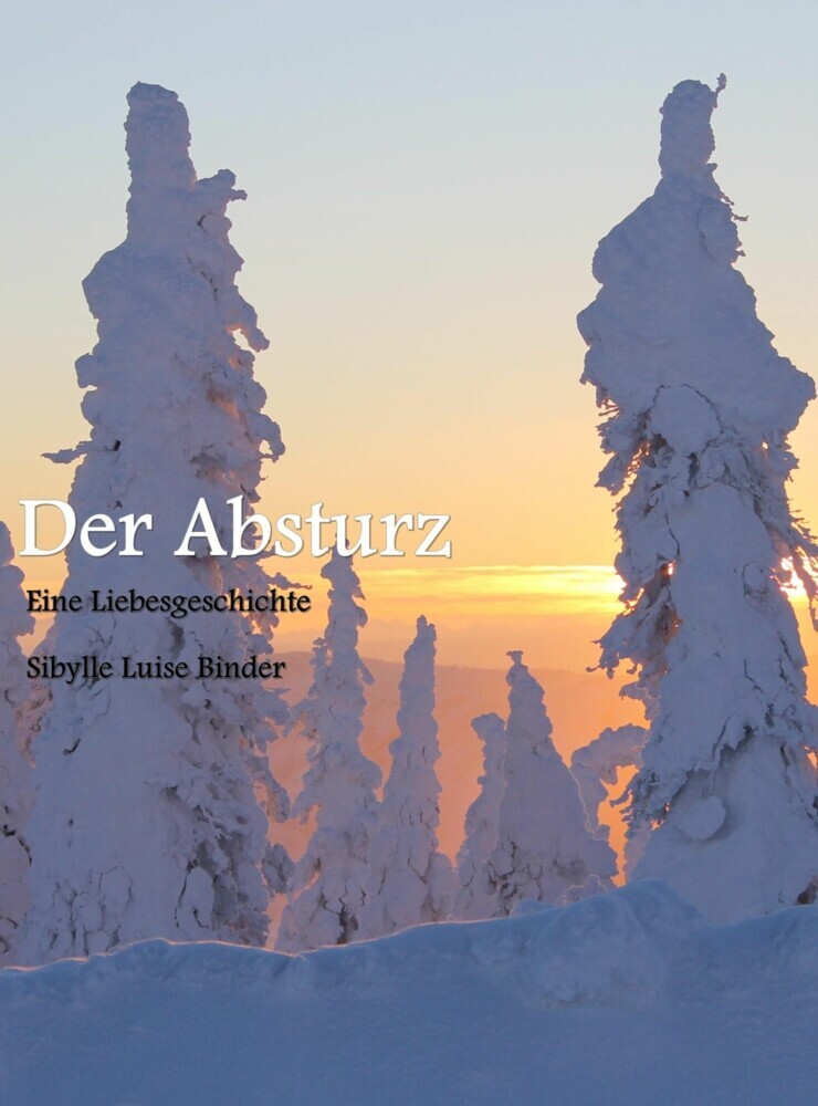 Der Absturz main product photo