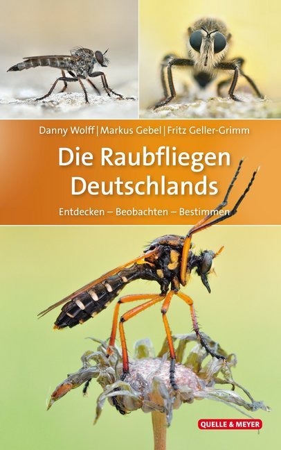 Die Raubfliegen Deutschlands main product photo