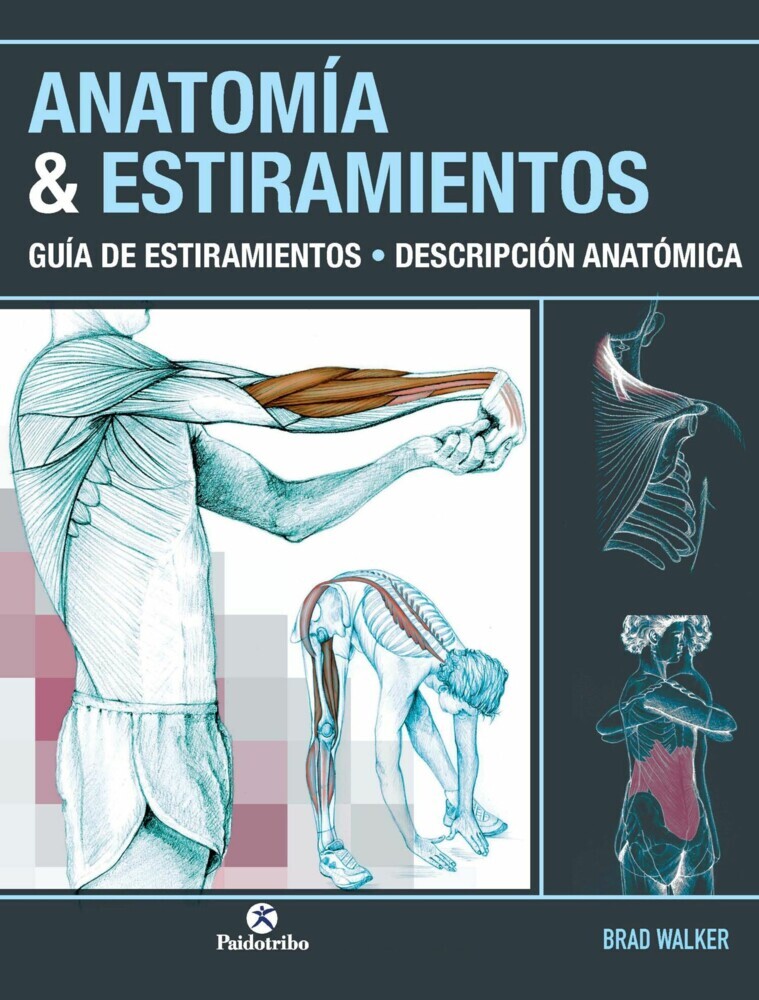 Anatomía & Estiramientos main product photo