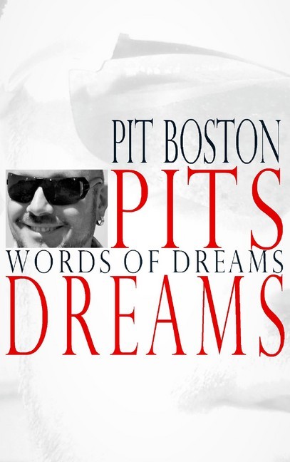 Pits Dreams main product photo