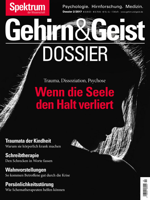 Wenn die Seele den Halt verliert main product photo
