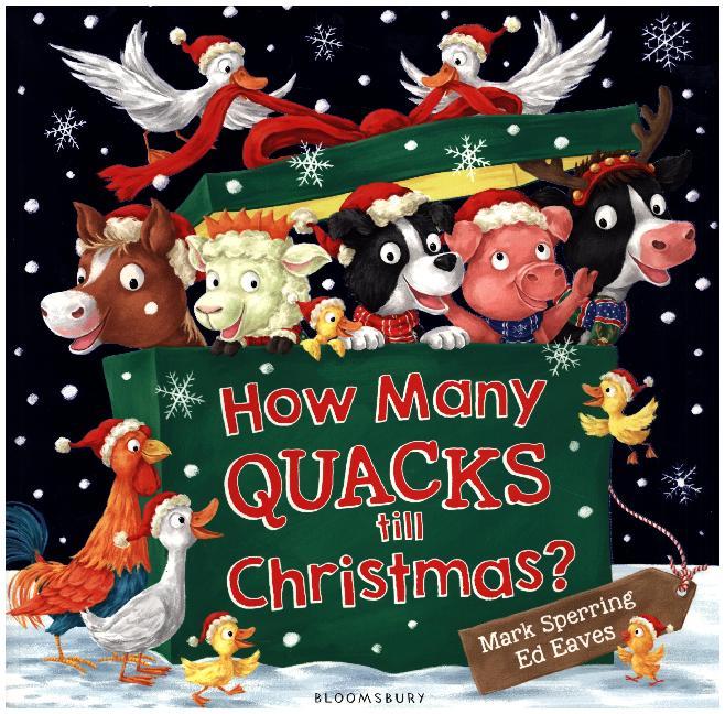 How Many Quacks Till Christmas? main product photo