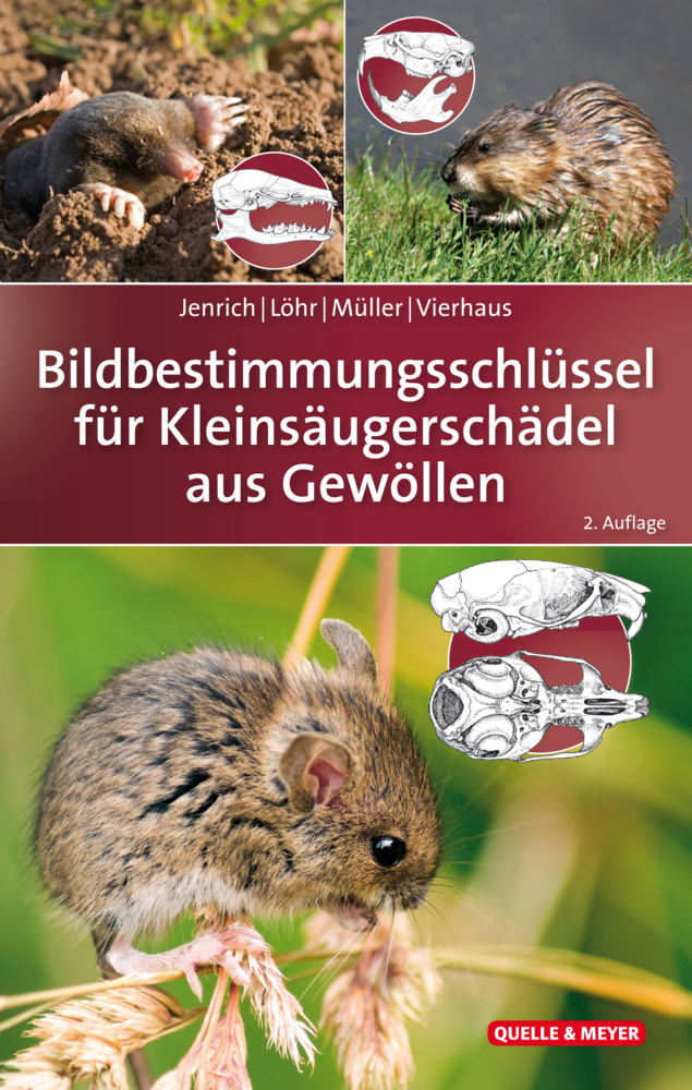 Bildbestimmungsschlüssel für Kleinsäugerschädel aus Gewöllen main product photo