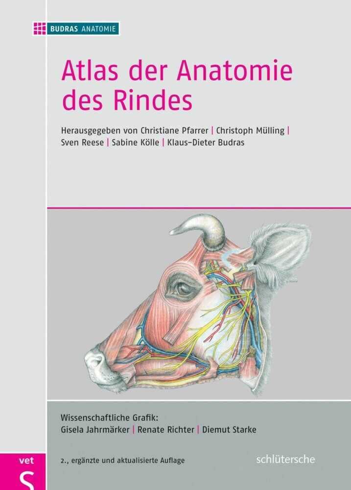 Atlas der Anatomie des Rindes main product photo