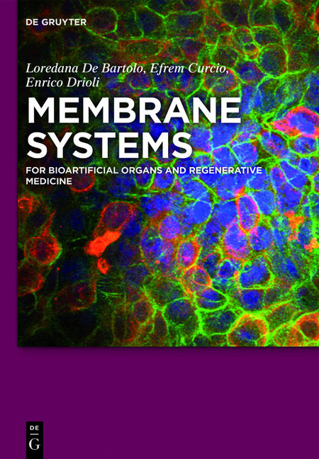 Membrane Systems main product photo