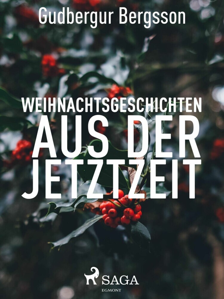 Weihnachtsgeschichten aus der Jetztzeit main product photo