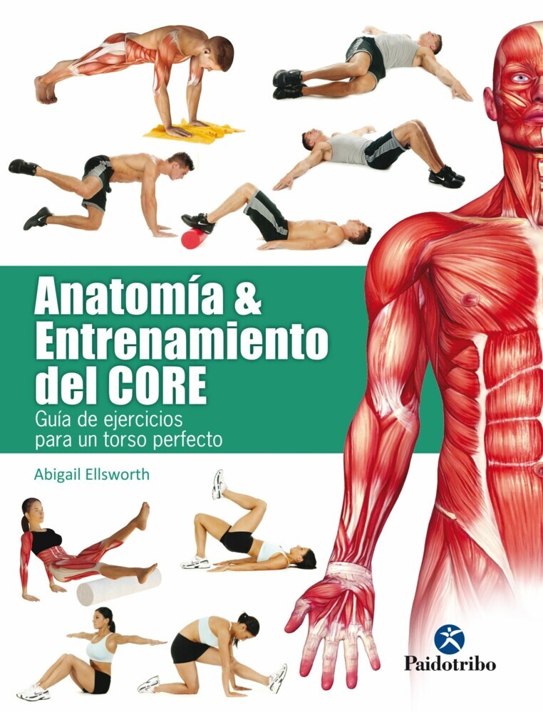 Anatomía y entrenamiento del core main product photo