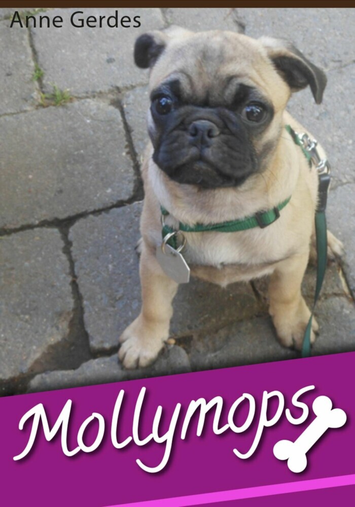 Mollymops main product photo
