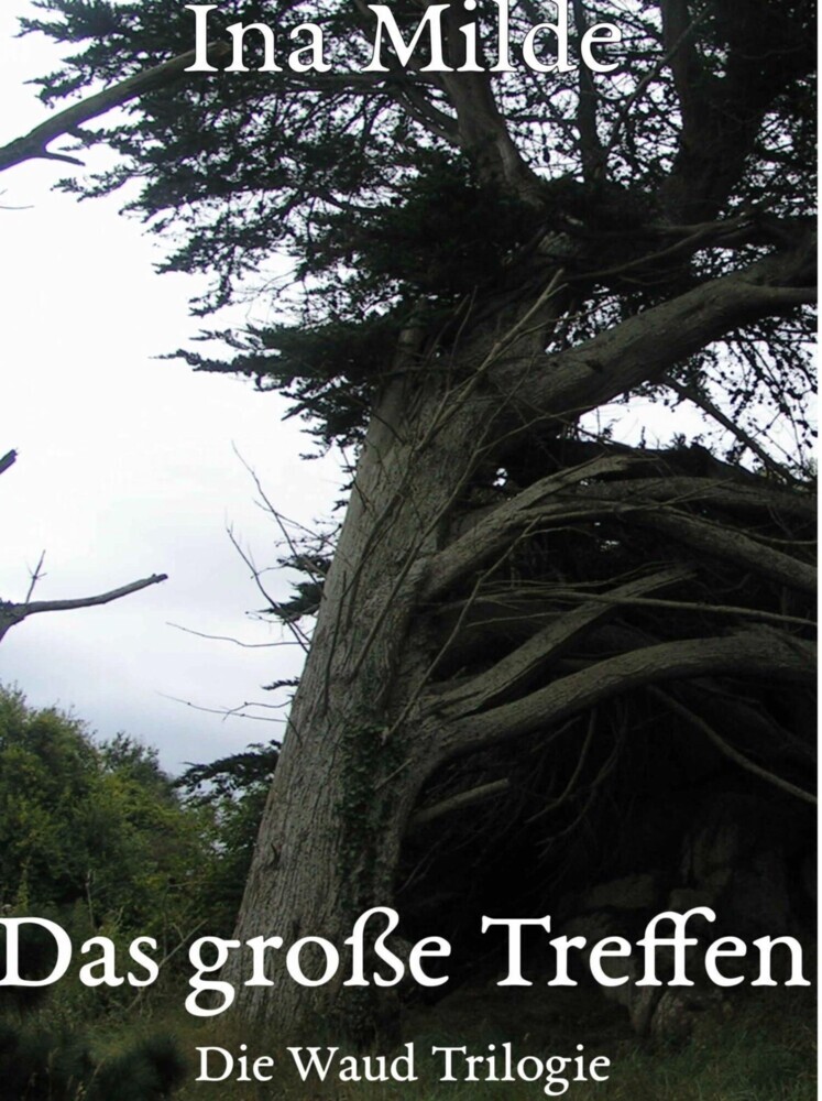 Das große Treffen main product photo