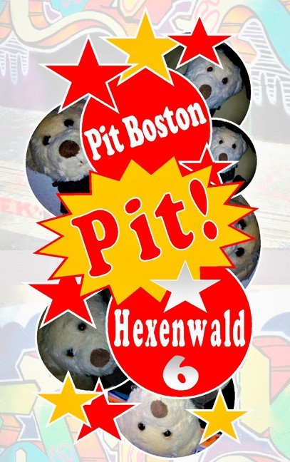 Pit! Hexenwald main product photo