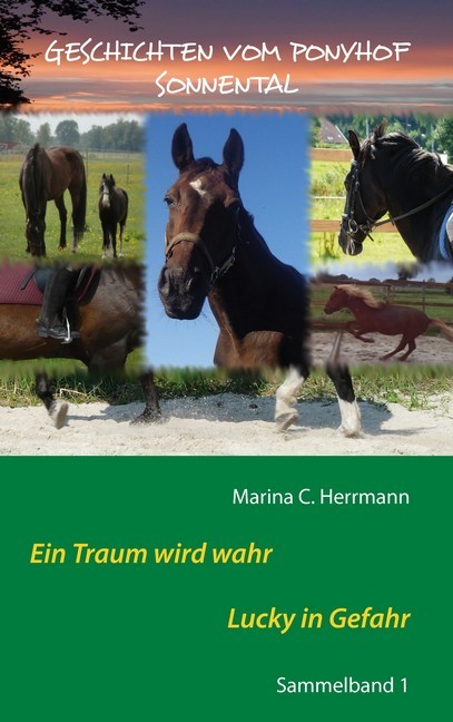 Geschichten vom Ponyhof Sonnental main product photo