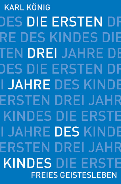 Die ersten drei Jahre des Kindes main product photo