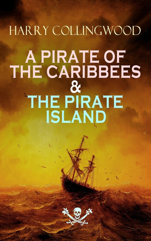 A PIRATE OF THE CARIBBEES & THE PIRATE ISLAND main product photo
