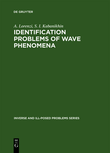 Identification Problems of Wave Phenomena main product photo