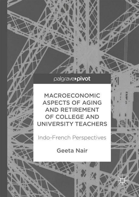 Macroeconomic Aspects of Aging and Retirement of College and University Teachers main product photo