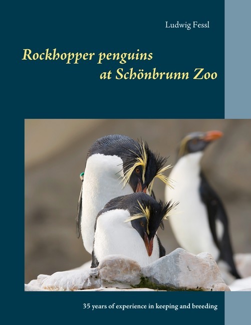 Rockhopper penguins at Schönbrunn Zoo main product photo