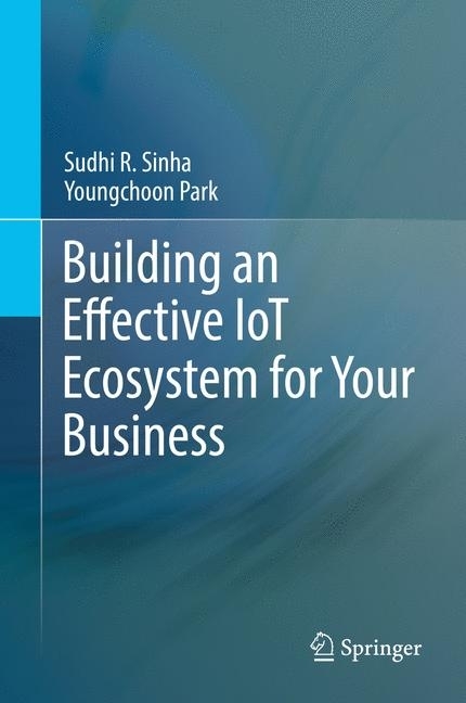 Building an Effective IoT Ecosystem for Your Business main product photo