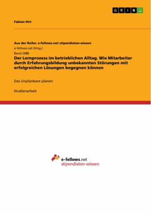 Der Lernprozess im betrieblichen Alltag. Wie Mitarbeiter durch Erfahrungsbildung unbekannten Störungen mit erfolgreichen Lösungen begegnen können