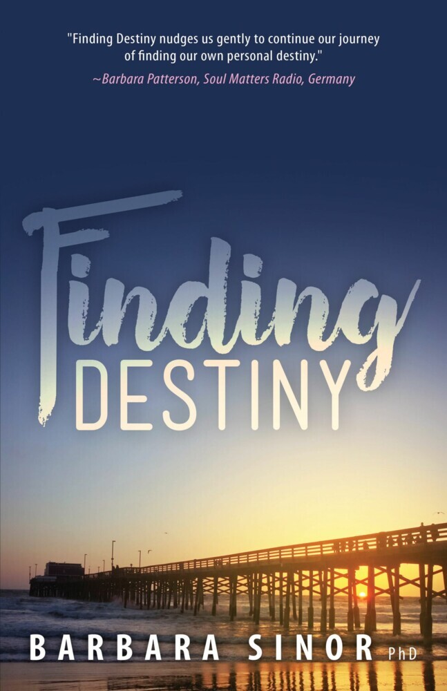 Finding Destiny main product photo