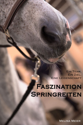 Faszination Springreiten