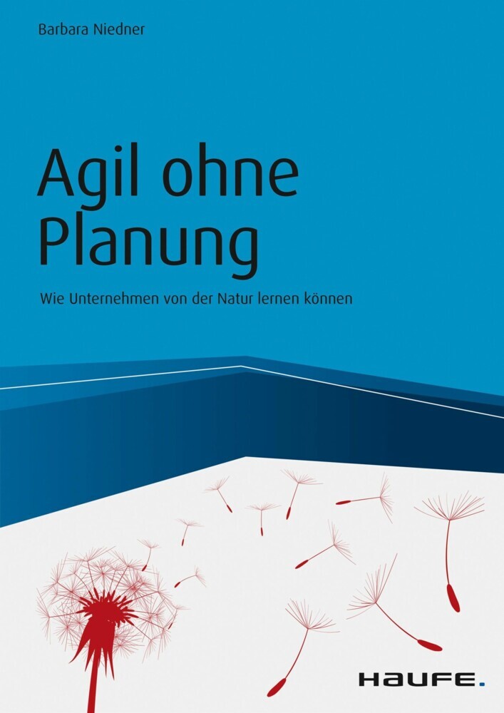 Agil ohne Planung main product photo