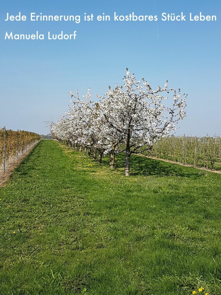Jede Erinnerung ist ein kostbares Stück Leben main product photo