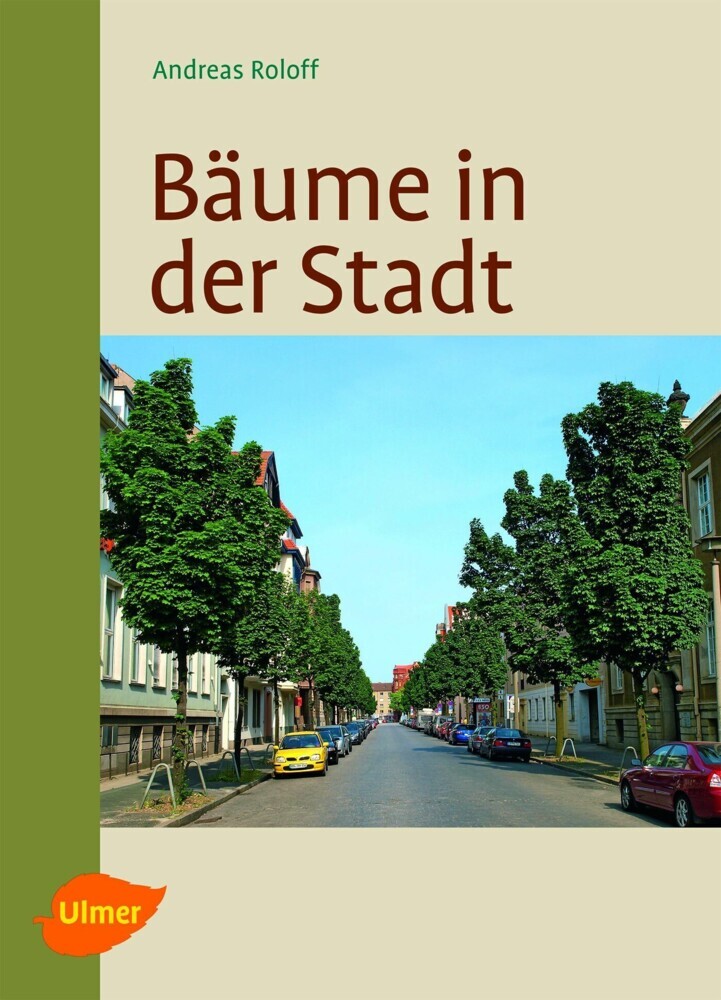 Bäume in der Stadt main product photo