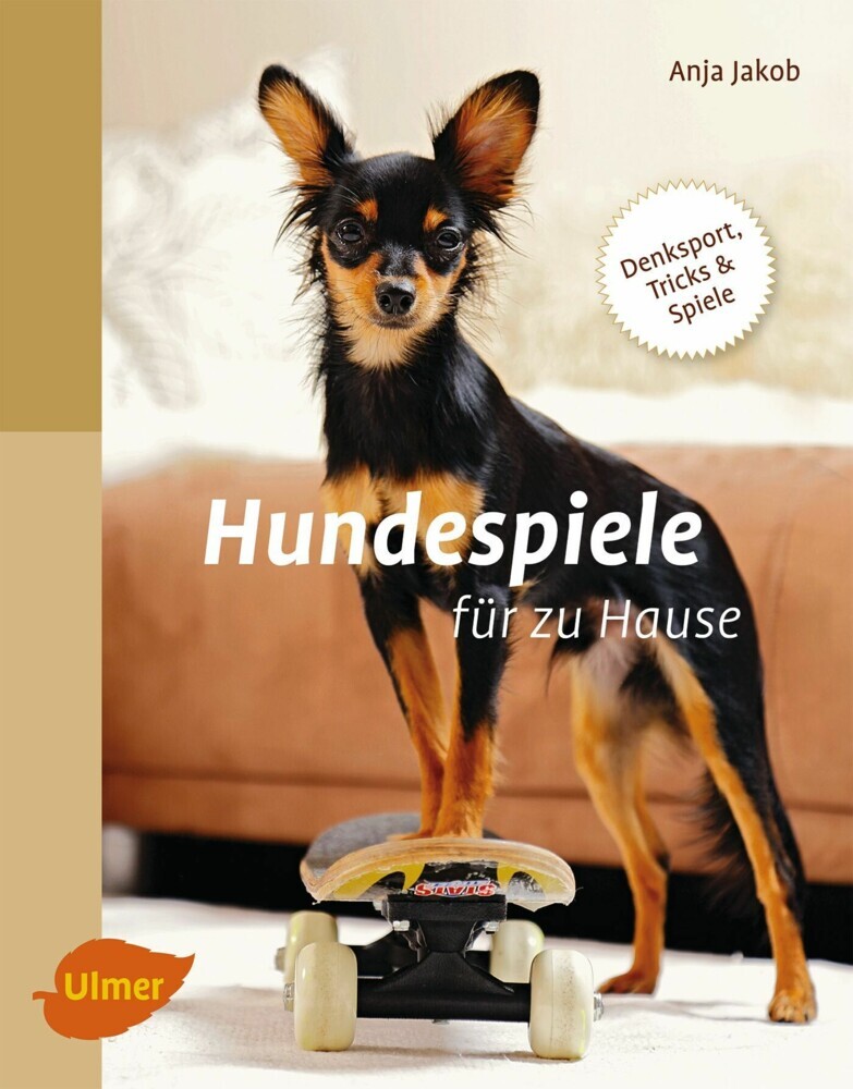 Hundespiele für zu Hause main product photo