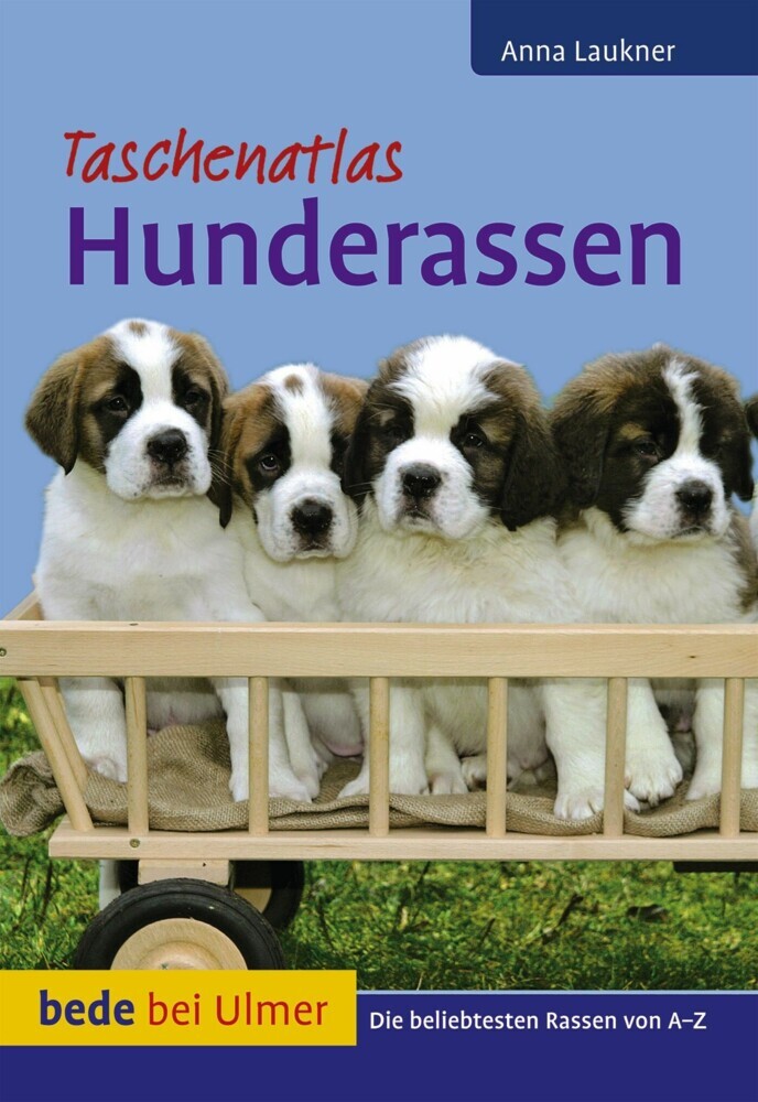 Hunderassen main product photo
