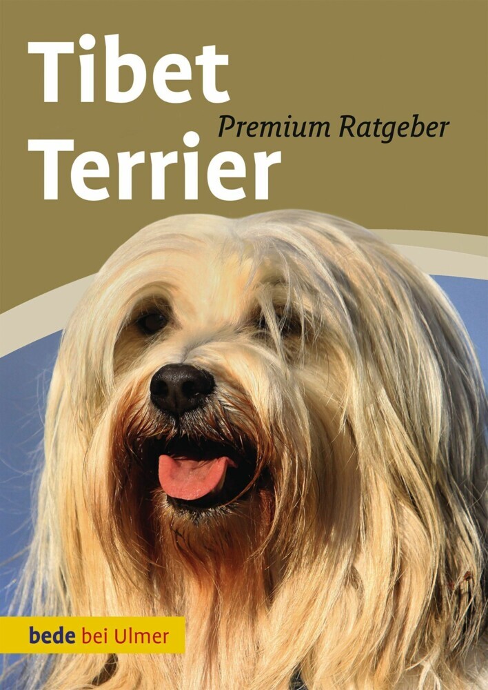Tibet Terrier main product photo