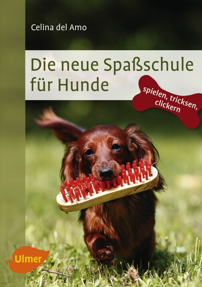 Die neue Spaßschule für Hunde main product photo