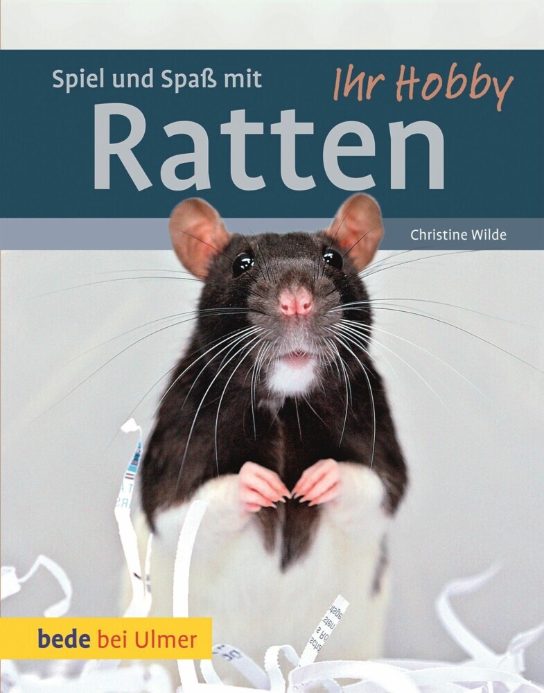 Spiel und Spaß mit Ratten main product photo