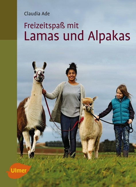 Freizeitspaß mit Lamas und Alpakas main product photo